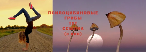 ешки Нягань
