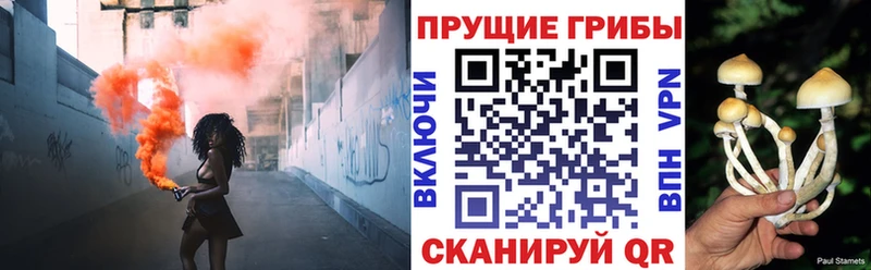 Псилоцибиновые грибы Psilocybine cubensis  где продают   Королёв 